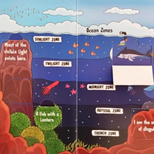 Lift-the-Flap: Features of Earth