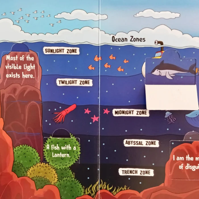 features of earth